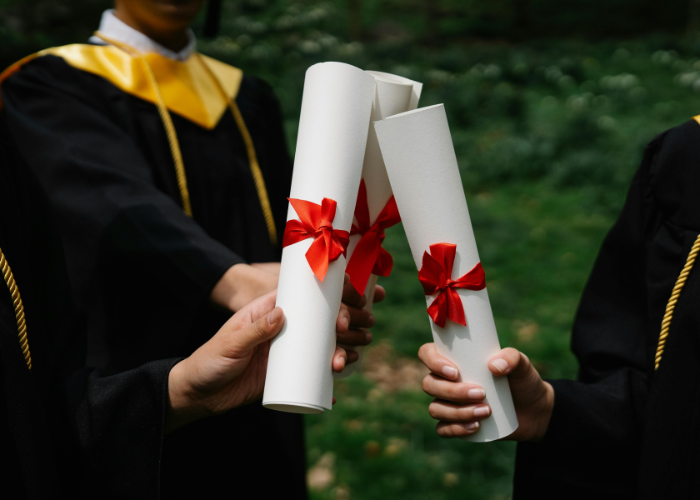 Placement Support & Internships